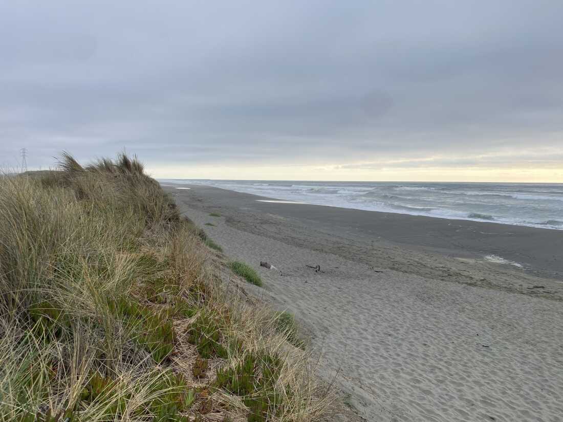 Off the coast off of Eureka, Calif. there's a plan to build offshore wind turbines to power more than two million American homes. China accounts for 74% of all large scale solar and wind under construction, according to the nonprofit Global Energy Monitor. The U.S. accounts for 5.9%.