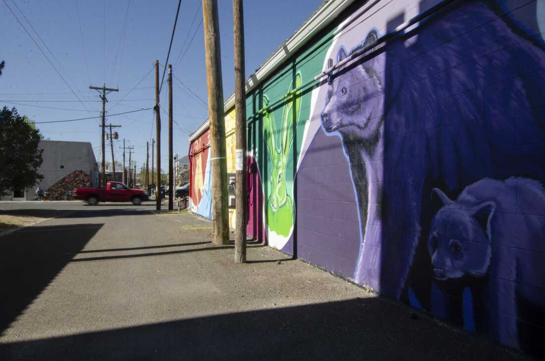 A mural in downtown Alpine, Texas highlights the wildlife that call the Trans-Pecos region of West Texas home – including the black bear.