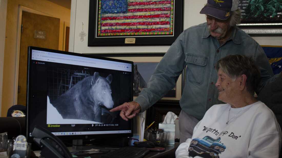 Ken Clouse and his wife Pam look at a still image taken from a game camera on their porch. The couple says in the last two years, they’ve regularly seen black bears in their neighborhood south of Alpine, Texas.