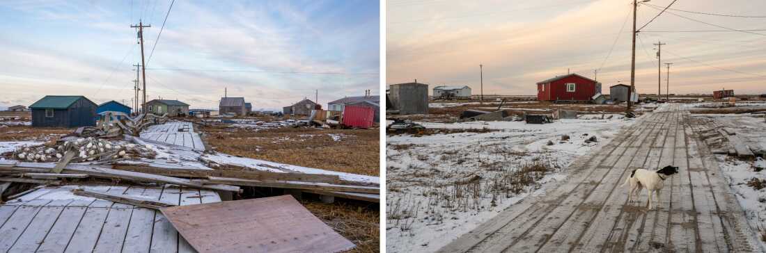 The photo on the left shows a damaged Kwigillingok boardwalk with pieces of wooden debris strewn over it. Small, one-story wooden buildings rise in the background. The photo on the right shows a white dog standing on a boardwalk. A few small, one-story wooden buildings rise in the background.
