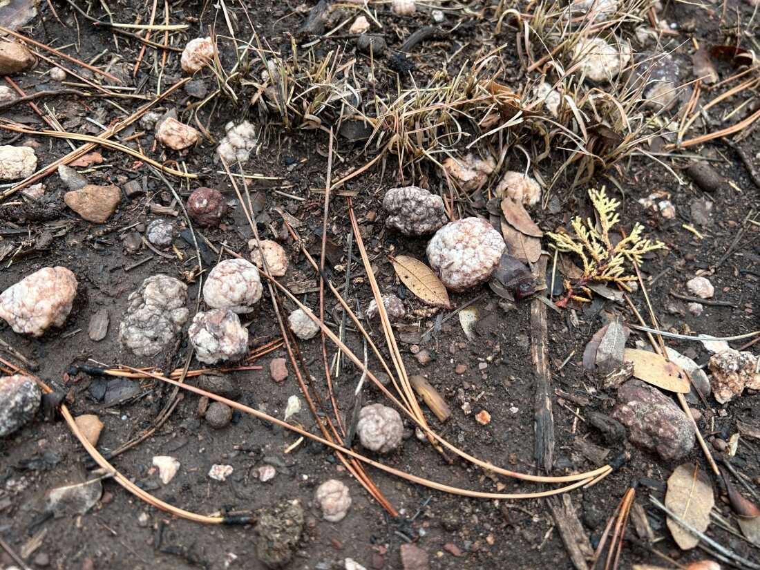 Geode Hill, in Payson, Ariz., allows you to unleash your most destructive geological forces.