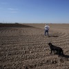 Farmer Larry Cox walks in a plowed field with his dog, Brodie, in 2022, near Brawley, Calif. 