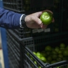 Tomatillos are among the fresh produce in refrigerated warehouses at the Sysco food distribution center in Houston.