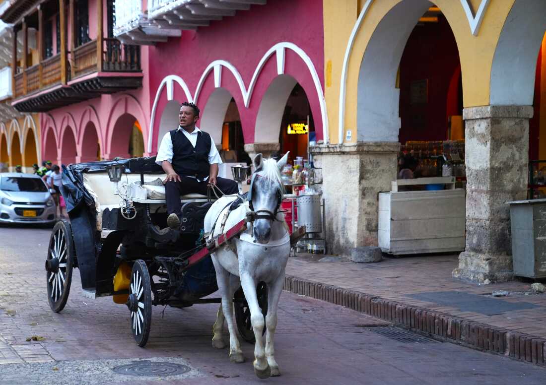 Cristian Munoz has been driving horse buggies for the past two decades. He says the electric carts will do away with part of the city’s heritage.