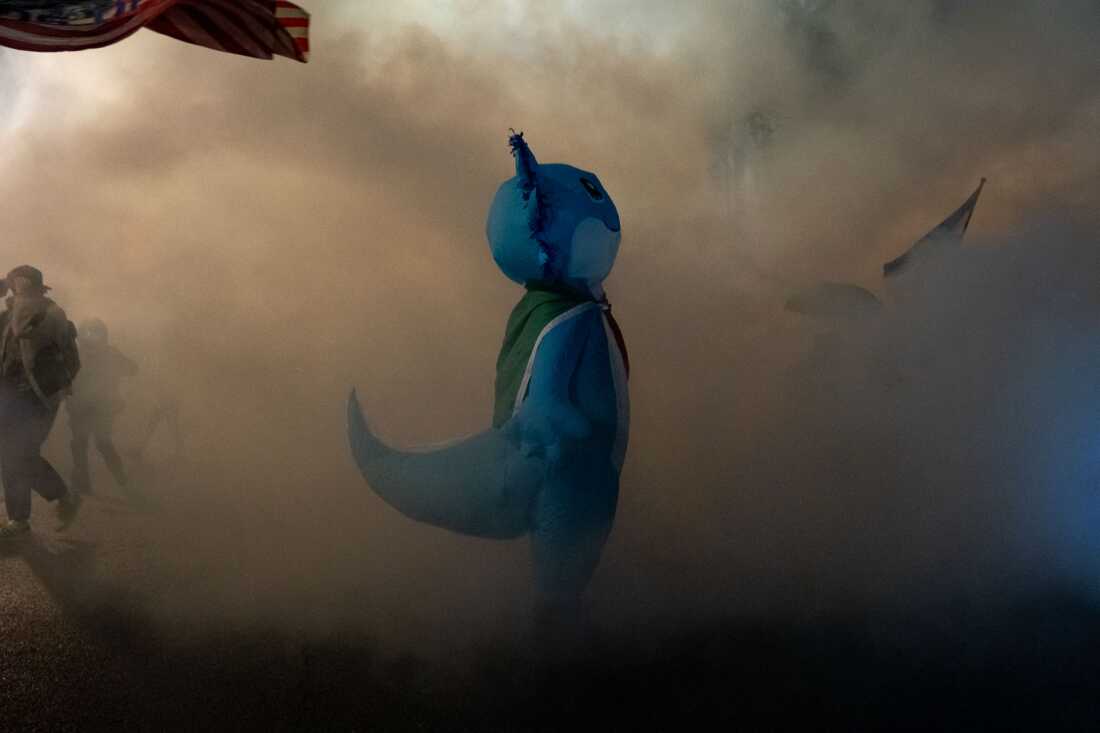 A protester in an inflatable axolotl costume wrapped in a Mexican flag navigates a cloud of tear gas outside of the U.S. Immigrations and Customs Enforcement building on Oct. 18, 2025, in Portland, Ore., where federal officers deployed tear gas, flash-bangs, and fired pepper balls.