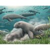 This artist's rendering depicts a herd of ancient sea cows foraging on the seafloor. A new species of ancient sea cow, Salwasiren qatarensis, is one of the many species described in 2025.