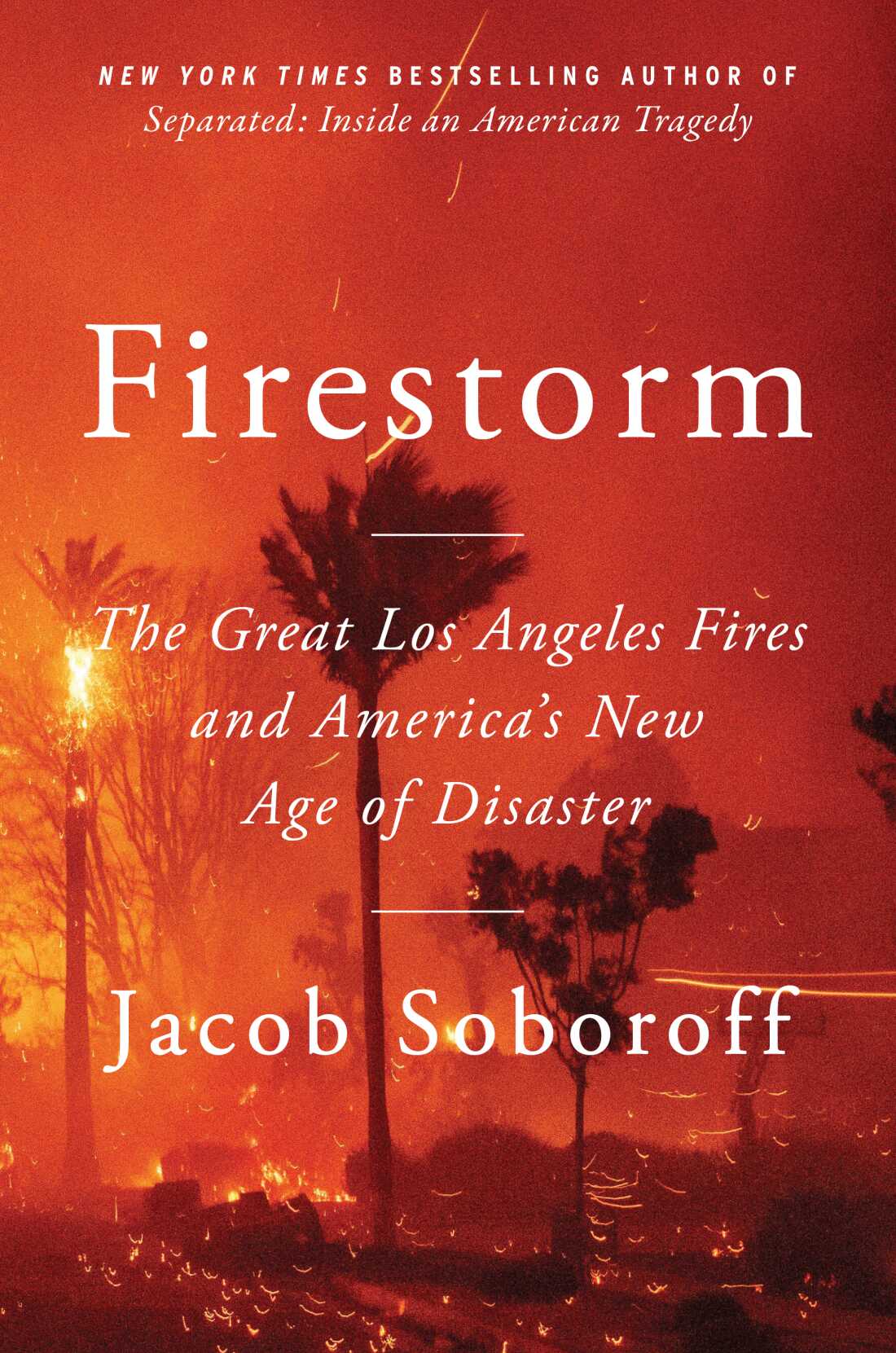Firestorm, by Ben Soboroff