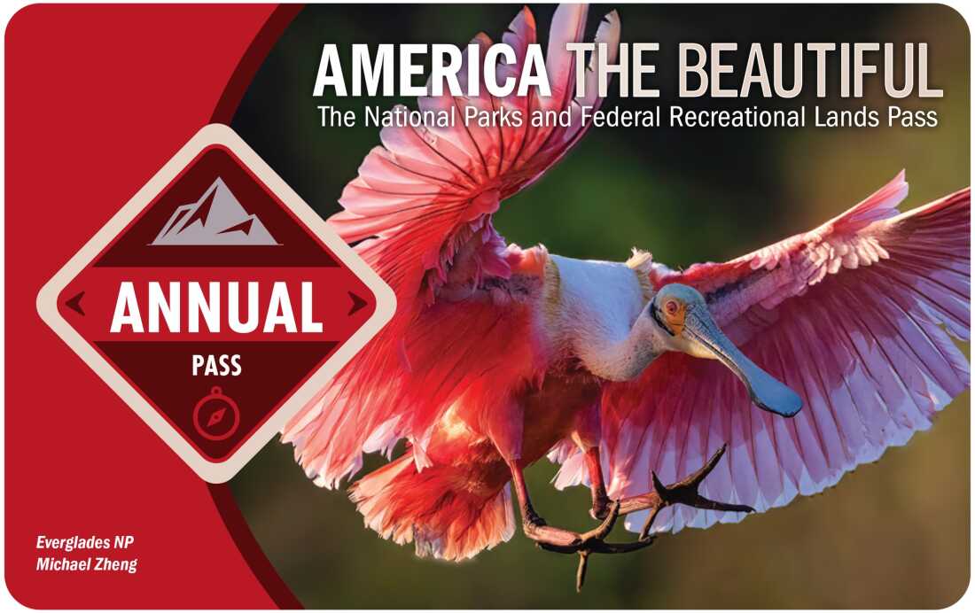 The America the Beautiful National Parks Annual Pass for 2025, showing one of the natural images which used to adorn the pass. Its picture, of a Roseate Spoonbill taken at Everglades National Park, was taken by Michael Zheng.