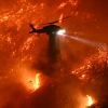 High winds and dry vegetation set the stage for the explosive wildfires in Los Angeles. Scientists are finding that climate change fueled some of the extreme conditions.