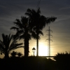 Silhouettes of power lines and palm trees in Spain amidst a power outage