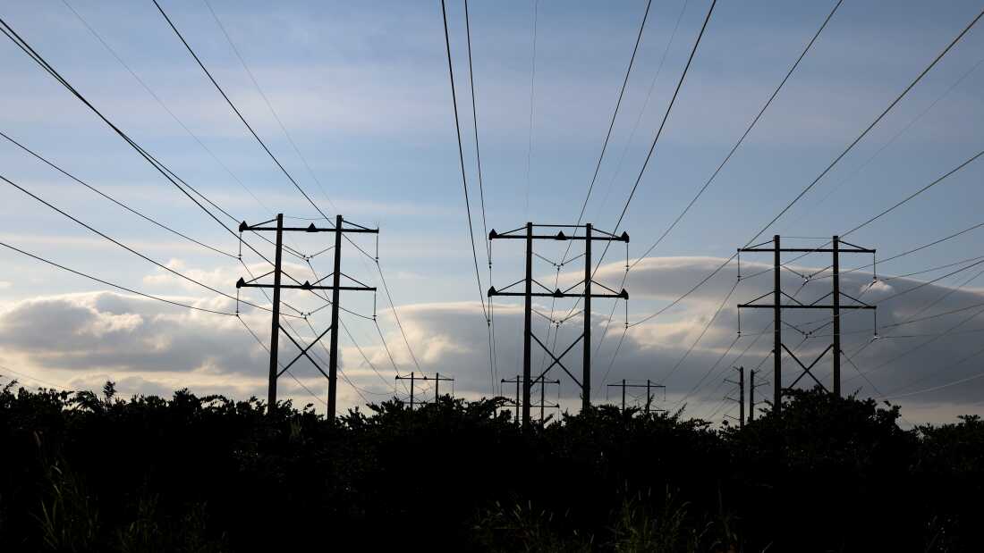 High-voltage power lines are pictured on January 14, 2026 in Miami, Fla. President Trump promised to cut energy bills in half within one year of his re-election. Gasoline prices have fallen about 20%, but electricity rates are still rising.