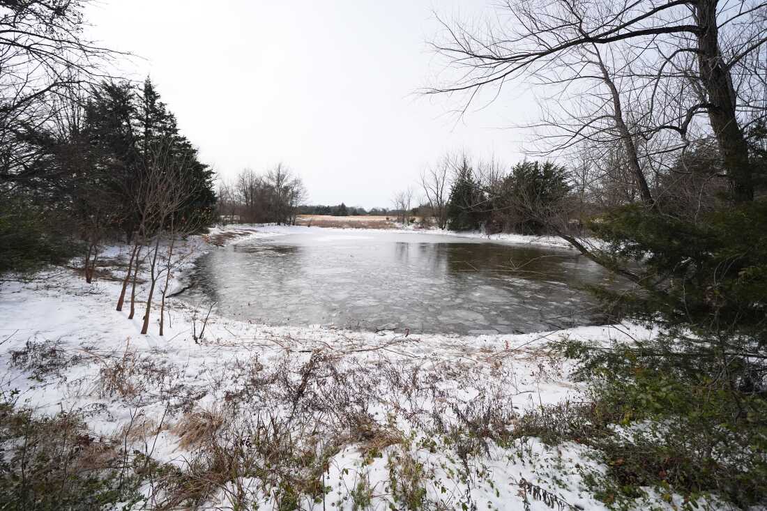 A pond where neighbors say three young boys died after falling into the water is seen Tuesday in Bonham, Texas.