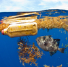 In addition to large plastic trash, researchers estimate that more than 21 million metric tons of tiny plastic debris are floating below the Atlantic Ocean's surface.