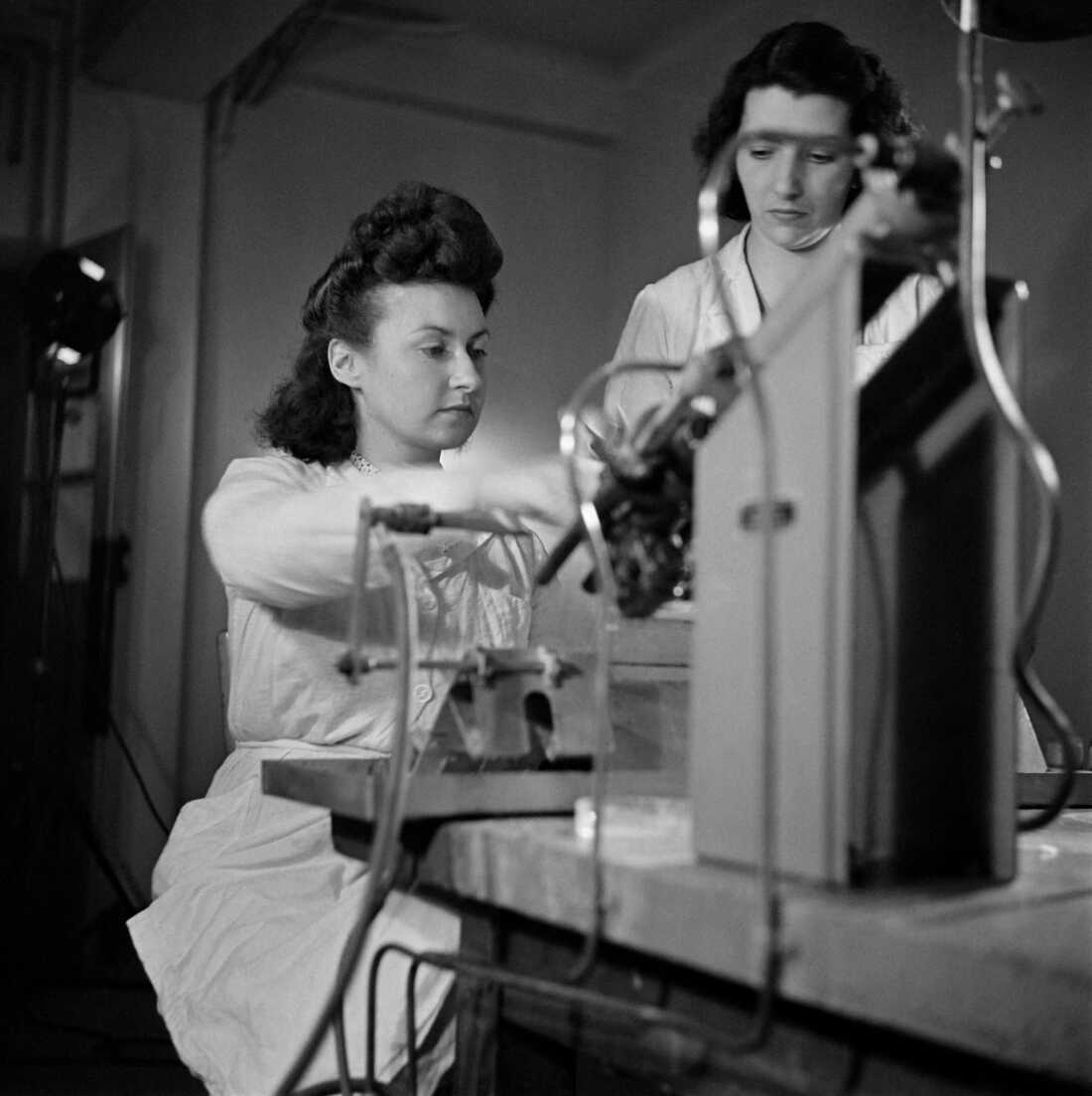 Employees work in a penicillin research and manufacturing laboratory