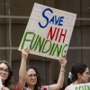 A protestor in Houston, Texas, holds a homemade sign that reads, "Save NIH Funding."